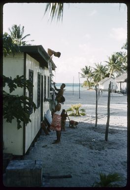 John James Marsters, assisted by unidentified men, erecting an awning outside his house in preparation for a umukai (feast) in celebration of Empire Day, Palmerston Island