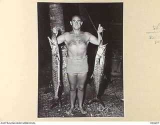 JACQUINOT BAY, NEW BRITAIN. 1945-09-01. LIEUTENANT COLONEL A.L. NYMAN, GENERAL STAFF OFFICER 1, HEADQUARTERS 11 DIVISION, WITH FISH LANDED FROM THE BAY