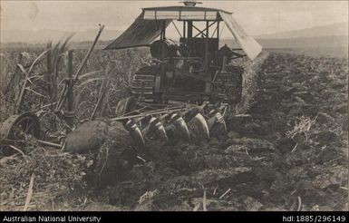 Holt tractor, Lautoka