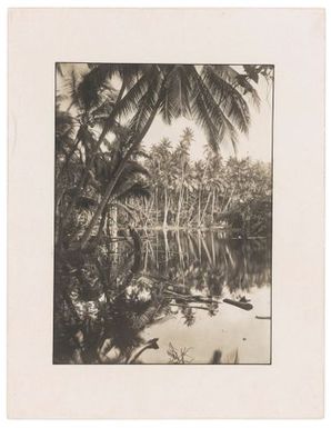 Palm trees over water, probably Naoero.  From the album: Banaba (Ocean Island)