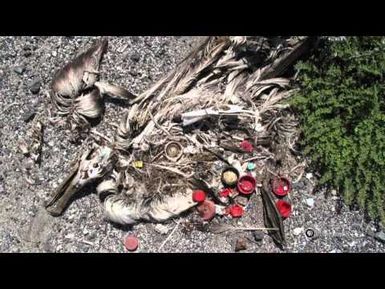 PBS Hawaii - HIKI NŌ Episode 308 | Waimea Canyon Middle School | Beach Debris