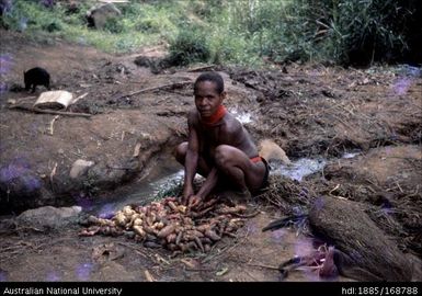 Washing sweet potato at stream between garden and home