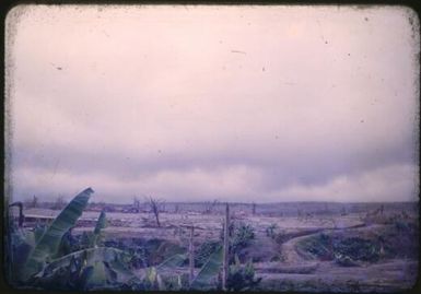 Looking over Higataru from the hospital site, Papua New Guinea, 1951 / Albert Speer