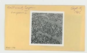[Lagoon in Hawaii, envelope IE30-179]