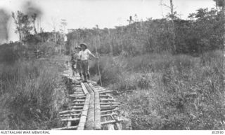 THE WORK OF THE SURVEY CORPS IN NEW GUINEA. SURVEY LINE THROUGH THE BUSH AND TEMPORARY BRIDGE ACROSS SWAMP, NEW IRELAND. 1918. (DONATED BY F.O. CUTLER.)