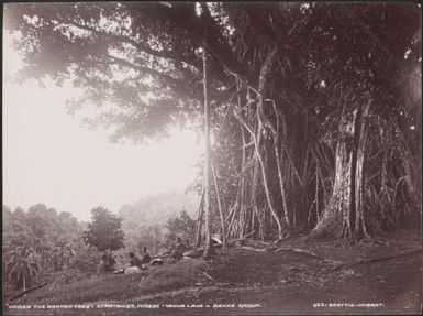 Girls sitting under a banyan tree at the village of Vureas, Vanua Lava, Banks Islands, 1906 / J.W. Beattie