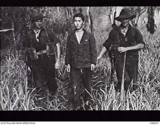 DUMPU, NEW GUINEA. 1943-10-05. SX12395 LANCE CORPORAL (L/CPL) W. J. CULLEN (LEFT) AND SX17585 L/CPL H. A. SCOTT, BOTH OF THE 2/27TH AUSTRALIAN INFANTRY BATTALION BRING IN A JAPANESE PRISONER TO ..