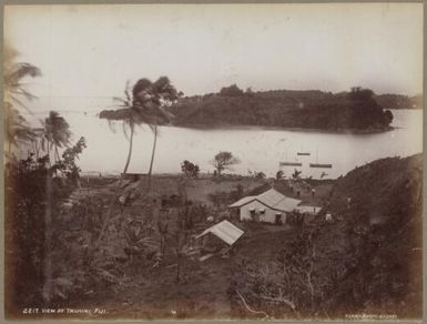 Views at Taveuni, Fiji, approximately 1890, 2 / Charles Kerry