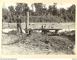 DRINIUMOR RIVER, NEW GUINEA. 1944-11-23. THE FIRST PILE ABUTMENTS BEING POSITIONED BY 2/8 FIELD COMPANY, ROYAL AUSTRALIAN ENGINEERS, TROOPS DURING THE INITIAL STAGES OF CONSTRUCTING A BRIDGE ACROSS ..