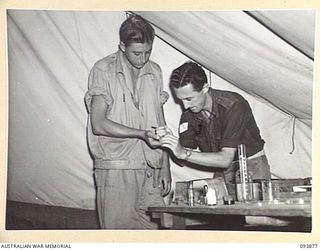 CAPE WOM, WEWAK AREA, NEW GUINEA, 1945-07-11. SERGEANT H.E. DAVIES, FIELD DETACHMENT LAND HEADQUARTERS MEDICAL RESEARCH UNIT (2), COLLECTING A THICK BLOOD FILM FOR MALARIA DIAGNOSIS FROM SAPPER ..