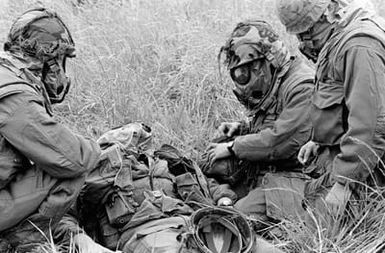 Marines from the 1ST Battalion, 3rd Marines, care for an "injured" Marine during a combat readiness exercise. The men are wearing M-17 chemical-biological field masks