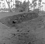 Looking east, north wall. Bulldozer cutting detail.