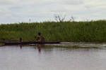 Canoeing in Sepik area, [Papua New Guinea, 1969?]