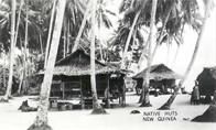 Ninth General Hospital. World War II. Hollandria, New Guinea.