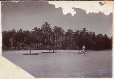 Sailing outrigger canoes. From the album: Cook Islands