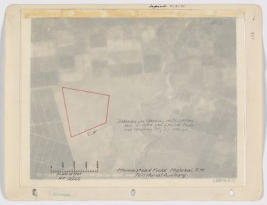 Landing Fields - Hawaii - Molokai Island