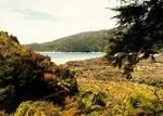 Tonga Roadstead, Able Tasman National Park