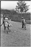 Pig festival, stake-planting, Tuguma: Tsembaga men pierce ground with stakes, expelling enemy spirits