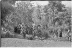 Bride price ritual: decorated men with spears in mock aggression, lead procession of the groom's group to the bride's village