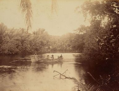 Pohnpei. From the album: Views in the Pacific Islands