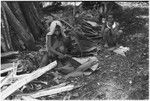 Pig festival, pig sacrifice, Tsembaga: women, one holding infant, flatten leaves to thatch sacrifice house