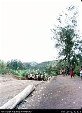 Main road at Kendu