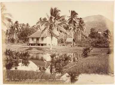 In the Roman Catholic Mission Grounds, Apia, Samoa. From the album: New Zealand Views