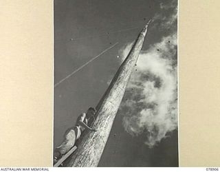 LAE AREA, NEW GUINEA. 1945-02-06. VX110336 LANCE CORPORAL A.C. STUBBS, 19TH LINES OF COMMUNICATION SIGNALS, HEADQUARTERS, FIRST AUSTRALIAN ARMY DOING MAINTENANCE ON THE UNITS 135 FOOT AERIAL. THIS ..