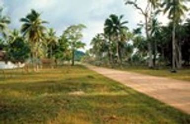 Road Leading Into Port Olry