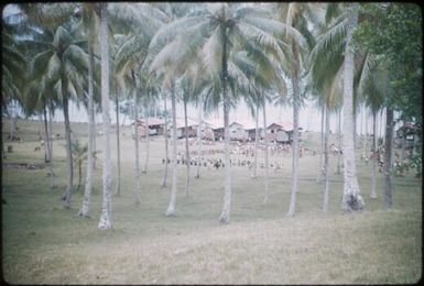 Looking from our house to hospital staff quarters (2) : Mapamoiwa Station, D'Entrecasteaux Islands, Papua New Guinea, 1956-1959 / Terence and Margaret Spencer