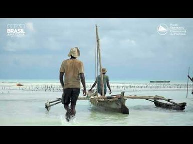 Pacific Assessment Reveals How Climate Change Is Recasting Fisheries and Aquaculture