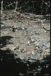 Marae in Society Islands, stone remains