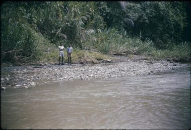 Screw River (anopheline mosquito stream-breeding) (1) : Maprik, Papua New Guinea,1959 / Terence and Margaret Spencer