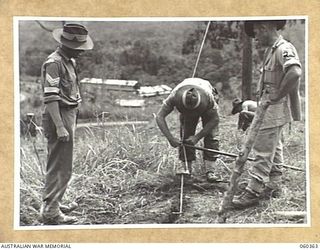 SOGERI, NEW GUINEA. 1943-11-20. NX127559 SERGEANT R. WATSFORD (LEFT) AN INSTRUCTOR OF THE SCHOOL OF SIGNALS, NEW GUINEA FORCE TEACHING STUDENTS HOW TO ERECT AND STAY TELEGRAPH POLES