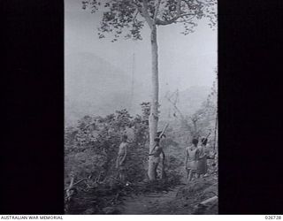 PAPUA. 1942-09. AN AUSTRALIAN SOLDIER LOOKS OUT THROUGH A GAP IN THE JUNGLE FOLIAGE ON THE RIDGE WHERE OUR TROOPS ARE HOLDING THE JAPS BACK. IORIBAIWA LIES AWAY IN THE DISTANCE. NOTE THE THREE ..