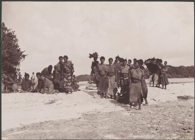 Ni-Vanuatu women on beach at Mota Lava, Banks Islands, 1906 / J.W. Beattie