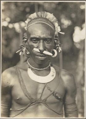 Urama types, Delta Division