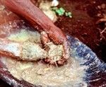 Preparing Kava