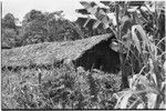 Wanuma-Kurum: yam house
