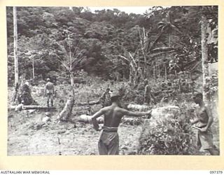 FAURO ISLAND, BOUGAINVILLE AREA. 1945-09-29. JAPANESE TROOPS CLEARING A CAMP SITE AT KARIKI, THE AUSTRALIAN GARRISON HEADQUARTERS FOR JAPANESE TROOPS CONCENTRATED ON FAURO ISLAND. THE SURRENDER ..