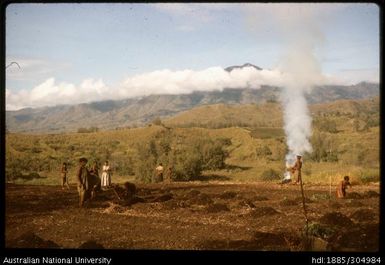 People farming