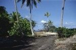 A roadway on Eninman Island (part of the Marshall Islands) photographed by Alan C. Jones during a break from the Capricorn Expedition (1952-1953). 1952