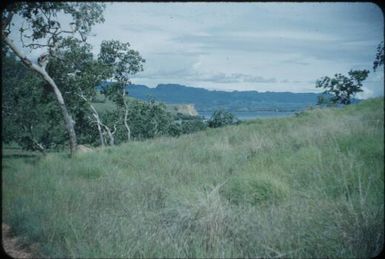Landscape near Port Moresby : Papua New Guinea, 1953 / Terence and Margaret Spencer