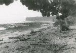 Landscape on the atoll of Makatea