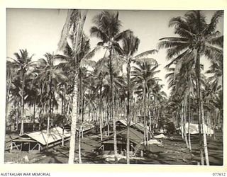 PALMALMAL PLANTATION, JACQUINOT BAY, NEW BRITAIN. 1944-12-21. THE 5TH BASE ADMINISTRATION AREA IN THE PLANTATION