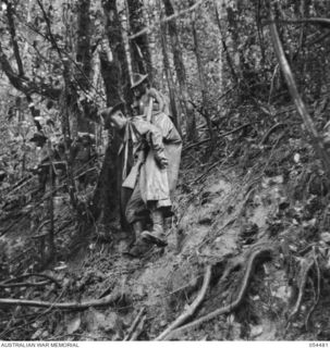 NEW GUINEA, 1943-07-20. JUNGLE TRACK BETWEEN SKINDEWAI AND BARARA STAGING CAMPS
