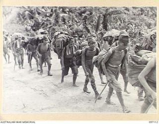 BOUGAINVILLE. 1945-09-26. JAPANESE SOLDIERS, UNDER THE CONTROL OF 3 DIVISION TROOPS, MARCHING OVER THE NUMA NUMA TRAIL TO THE PRISONER OF WAR COMPOUND ON THE CHOP CHOP TRAIL NEAR TOROKINA