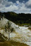 [View of a river, Sepik District,1960]