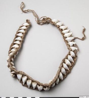 necklace, jewellery, necklace, jewellery