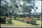 Mount Hagen: house and garden